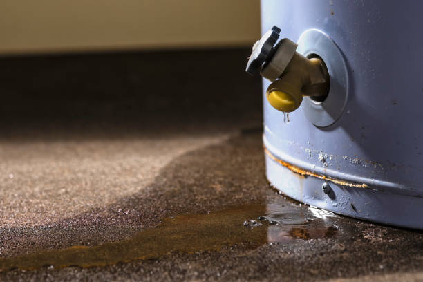 Best Water damage cleanup near me  in Ravena, NY
