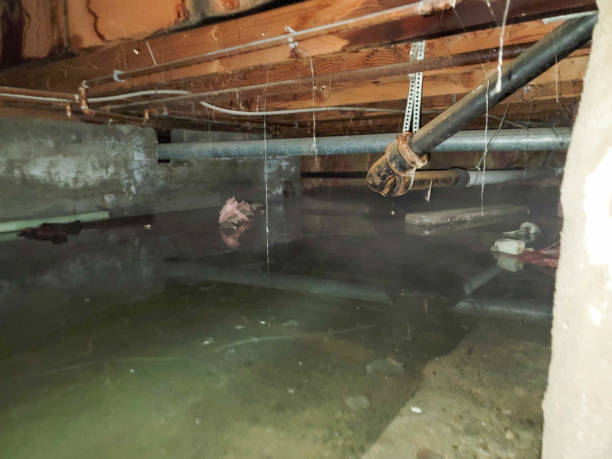 Best Flooded house restoration  in Ravena, NY
