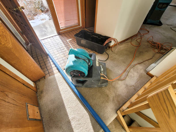 Best Water damage contractors near me  in Ravena, NY