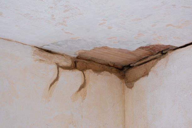 Best Residential water damage restoration  in Ravena, NY
