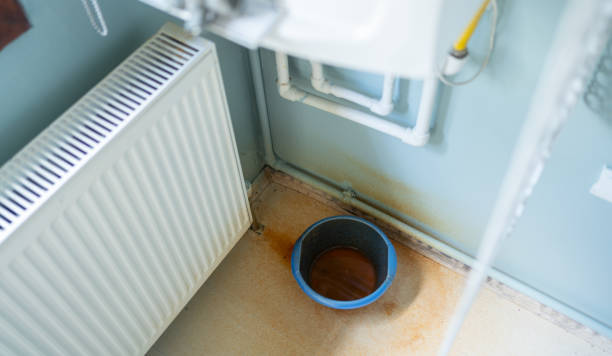 Best Water damage restoration near me  in Ravena, NY