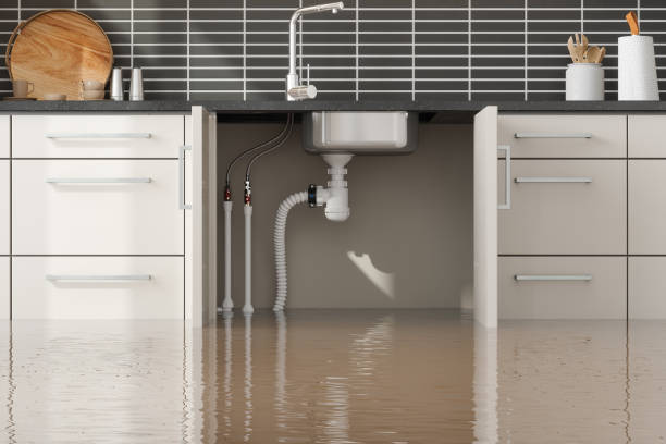 Best Mold removal after water damage  in Ravena, NY
