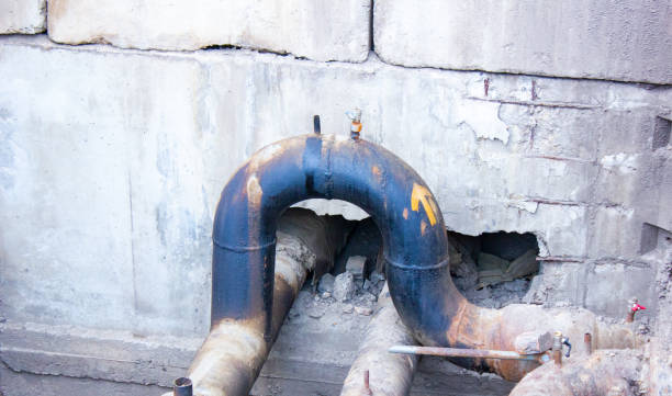 Best Professional water damage repair  in Ravena, NY