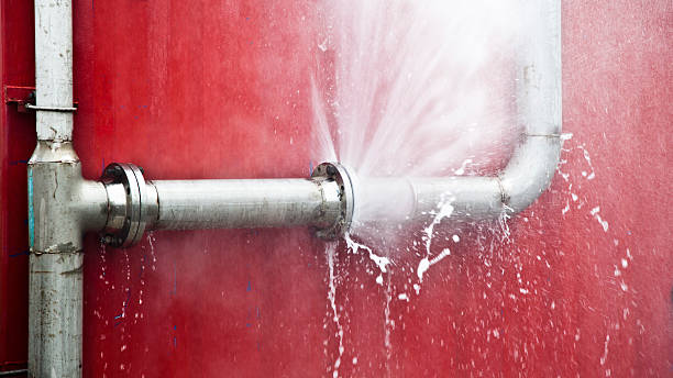 Best Flood restoration services  in Ravena, NY