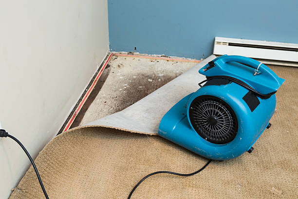 Best Residential water damage restoration  in Ravena, NY